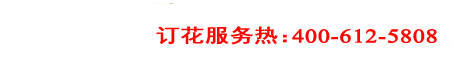 �r����