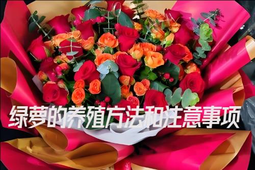 �G�}���Bֳ������ע�����