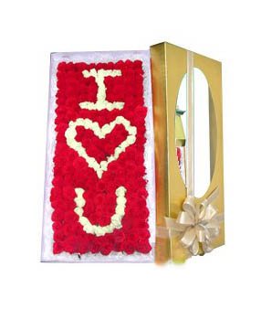 ��ʹ�Đ�/I love  you