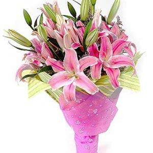 �y��һ��/9֦��ˮ�ٺ�