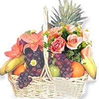 �r�����@/�oԹ�o��