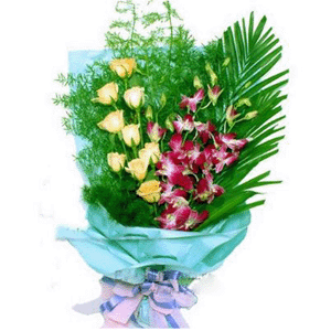 9֧�㙉õ��/չ����w