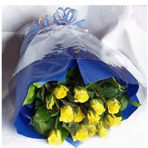 �Sõ��12֧/ԭՏ��һ�ΰ�