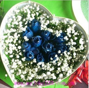 �ҵ����