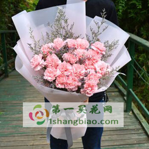 19���ɫ����ܰ