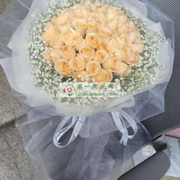 �������L�ؾ�
